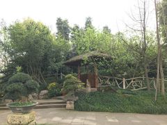 -秀丽东方