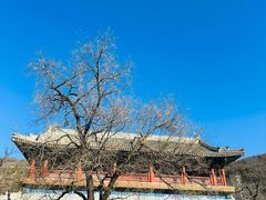 -潭柘寺景区