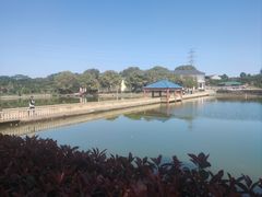 -青龙山国家森林公园
