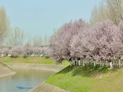 -汉长安城未央宫国家考古遗址公园