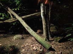-夜间野生动物园