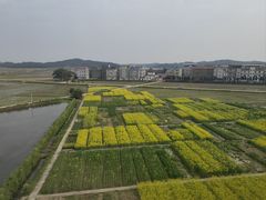 -婺源站