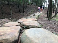 -南京市无想山景区