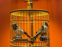 -了凡国风主题茶馆·咖啡(武侯祠锦里店)