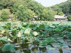 -团城山公园