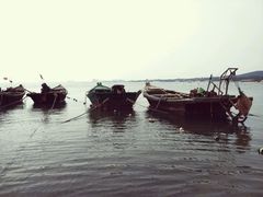 -老虎石海上公园