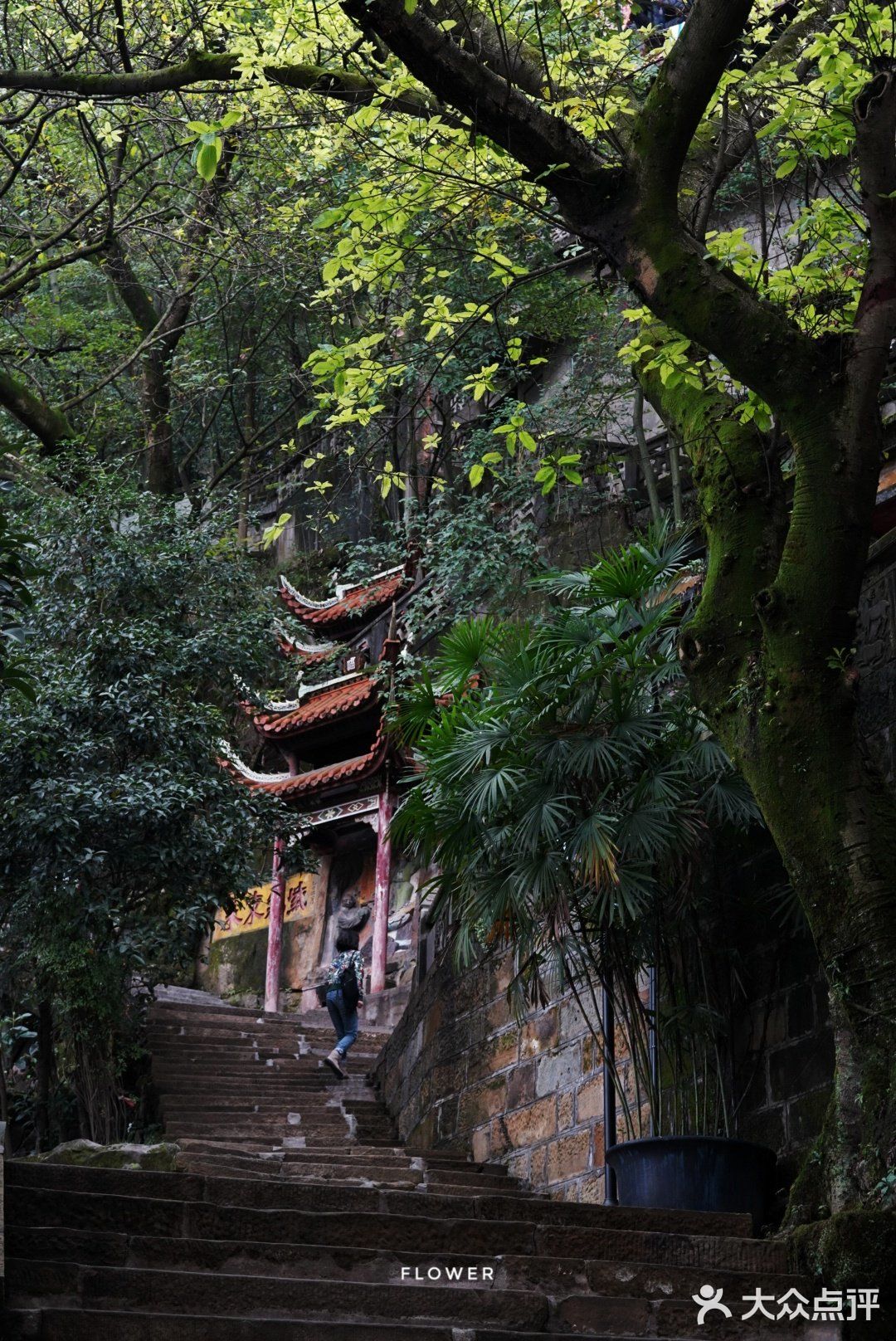 初秋，宜登高望远