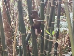 -东部华侨城