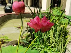 -宁波杉井奥特莱斯广场