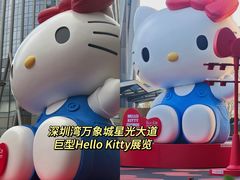 -深圳湾万象城(南山店)