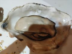 -深海800米海鲜自助(万达广场店)