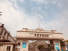 -长洲岛