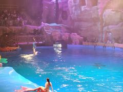 -芜湖新华联大白鲸海洋公园