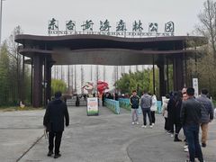 -黄海国家森林公园