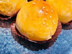 -侨美·唐荔园·40年地道粤菜