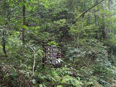 -天柱山风景区