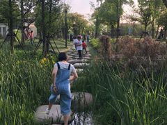 -锐擎卡丁车主题乐园(郊野公园店)