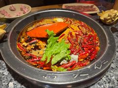 -蜀大侠火锅(总府路店)