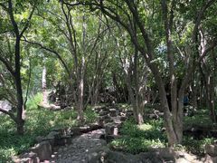 -无锡蠡湖国家湿地公园-蠡园