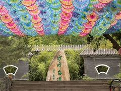 -阳台山自然风景区