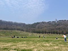 -羊山湖公园