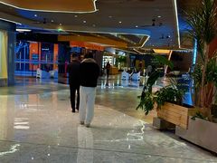-合景·悠方(成都店)