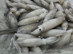 -沙田台山海鲜·酣客酒窖