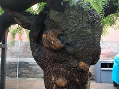 -故宫钟表馆