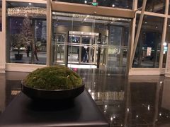 -上海外滩茂悦大酒店