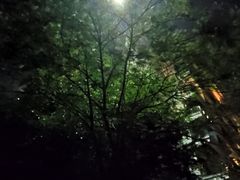 -河源万绿湖美思威尔顿酒店