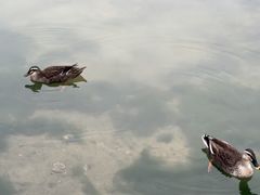 -南宁南湖公园
