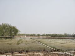 -大兴滨河森林公园