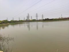 -大港湿地公园