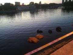 -长春世界雕塑园冰雪艺术天地