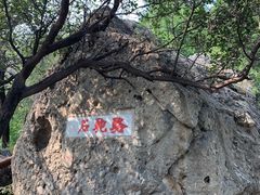 -阳台山自然风景区