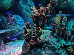 -沈阳海洋探索中心