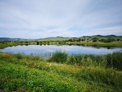 -御道口草原森林风景区