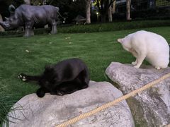 -静安公园(静安寺街道)