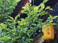 -湘子庙