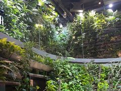 -肉串汪(望京店)