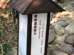 -三江森林温泉度假区