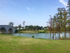 -瑶湖郊野森林公园