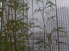 -同湘会馆(粤垦路店)