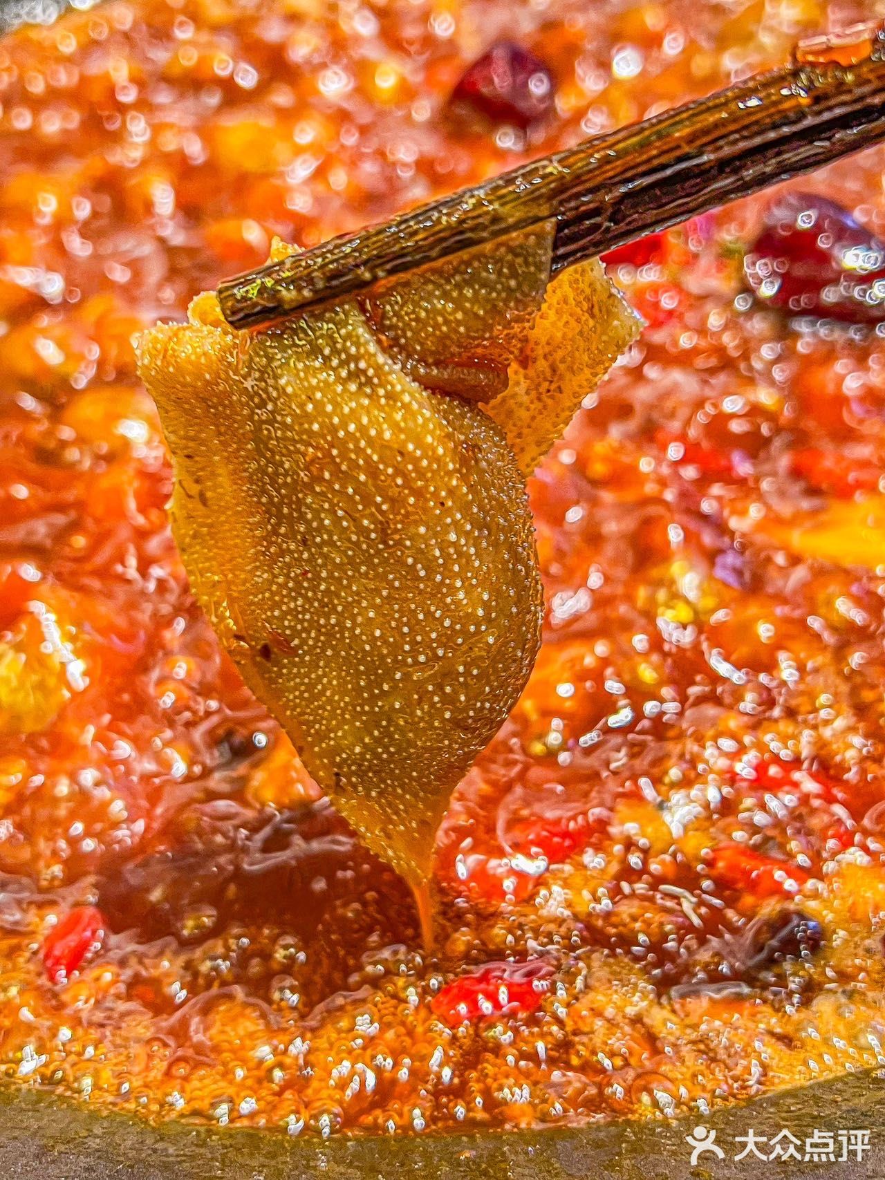 明星同款后火锅，究竟有何特别之处？🔥