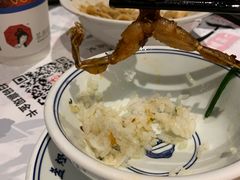 -壹盏灯(惠农店)