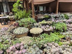 -山菌美食苑(振兴路店)