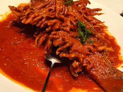 金毛狮子鱼-丹江渔村(望京店)