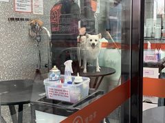 -宠物家(长阳店)
