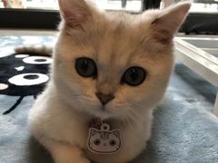 -永盈茶餐厅(中山四路店)