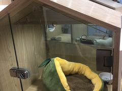-屋虎猫馆(宝安大仟里店)